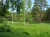 img_2013061821189