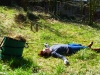 gschafft