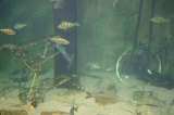 img_2013062114238