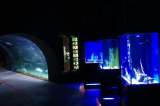 img_2013062115700
