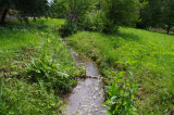 Renaturierter Nesenbach Böblinger Straße