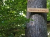 Nesenbachweg (Schwälblesklinge) am Waldfriedhof